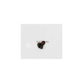 Round Head Machine Screw – CF15-58