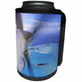 3dRose Danita Delimont - Aviation - Prop airplane, Aitutaki, Cook Islands - OC14 DPB0067 - Douglas Peebles - Can Cooler Bottle Wrap (cc_85170)