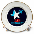 3dRose Alexis Design - Aviation - White star, bold eagle, military aircraft, Air Superiority on blue - Plates