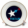 3dRose Alexis Design - Aviation - White star, military aircraft, red sun, text Aviation on blue - Plates