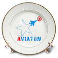 3dRose Alexis Design - Aviation - White star, military aircraft, red sun, text Aviation on white - Plates