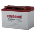12-Volt Aircraft Battery, Extra Cranking Power – RG-35AXC