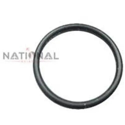 Fluorocarbon O-Ring 1-1/4 in ID – M83248/1-124