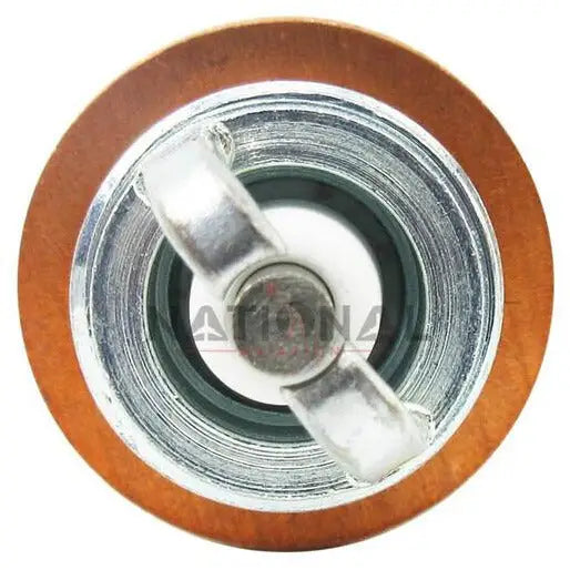 Champion Aerospace Standard Electrode Aviation – REM37BY